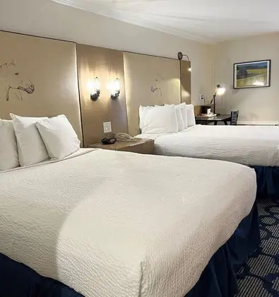 Oda, Zemin Kat (Main Building)