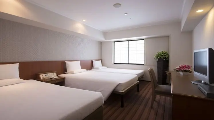 Superior Üç Kişilik Oda, Sigara İçilmez (2 Single Beds and 1 Extra Bed)