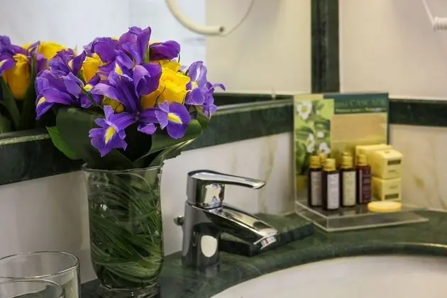 Deluxe Tek Büyük Yataklı Oda, Şehir Manzaralı