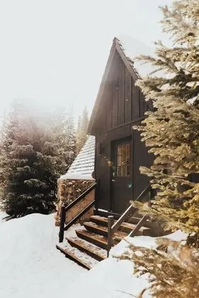 Ev, Birden Çok Yatak (Intimate Mtn Retreat! Drive 5min to D)