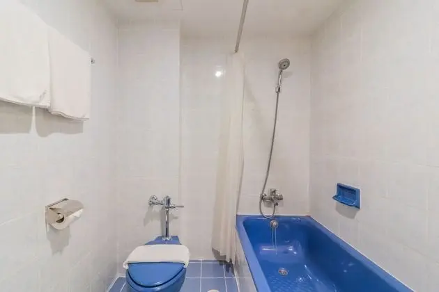Superior Tek Büyük Yataklı Oda