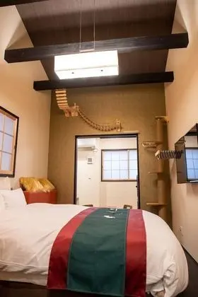 Oda, Sigara İçilmez (Cat Friendly, 2nd Floor)