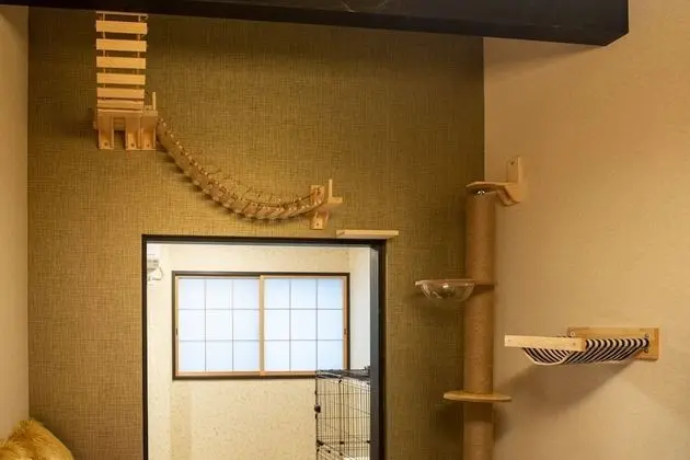 Oda, Sigara İçilmez (Cat Friendly, 2nd Floor)