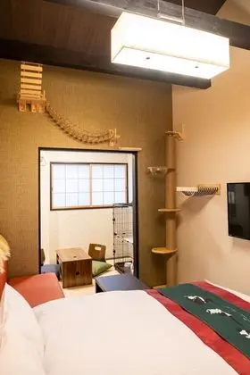 Oda, Sigara İçilmez (Cat Friendly, 2nd Floor)