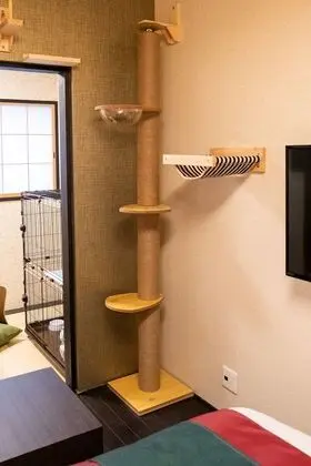 Oda, Sigara İçilmez (Cat Friendly, 2nd Floor)