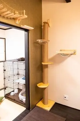Oda, Sigara İçilmez (Cat Friendly, 2nd Floor)