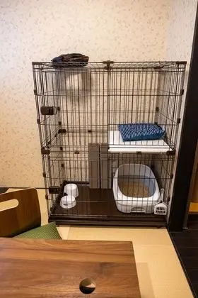 Oda, Sigara İçilmez (Cat Friendly, 2nd Floor)