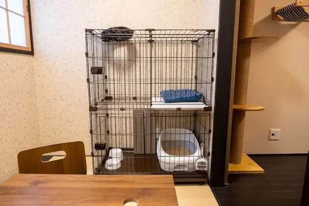 Oda, Sigara İçilmez (Cat Friendly, 2nd Floor)