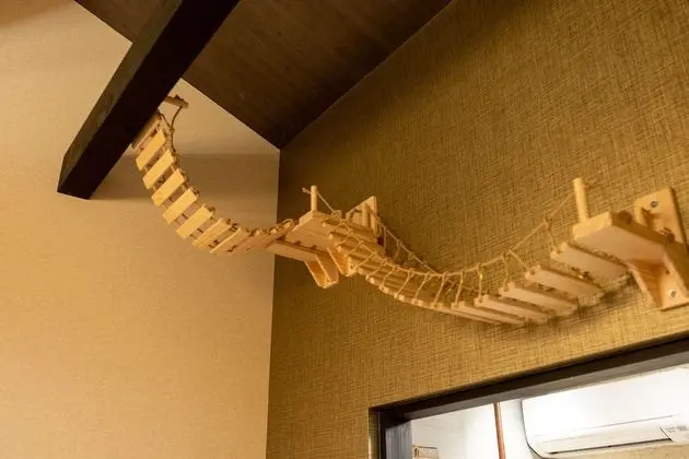 Oda, Sigara İçilmez (Cat Friendly, 2nd Floor)