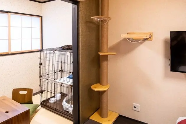 Oda, Sigara İçilmez (Cat Friendly, 2nd Floor)