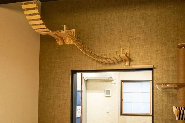 Oda, Sigara İçilmez (Cat Friendly, 2nd Floor)