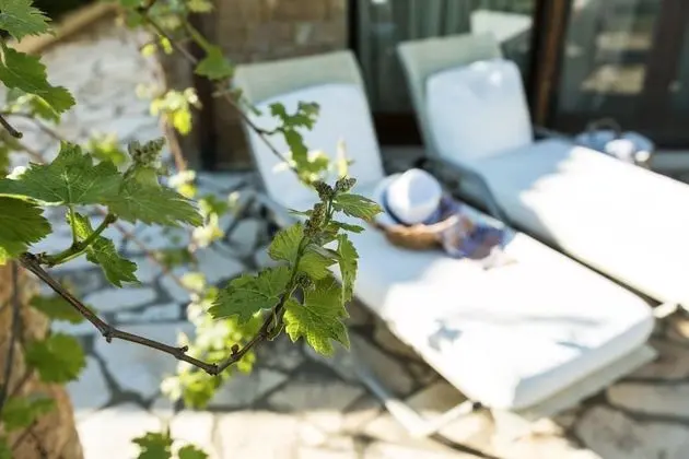 Villa, 3 Yatak Odası, Havuz Kullanımı