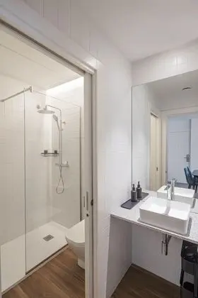 Çatı Katı (Loft), 1 Yatak Odası