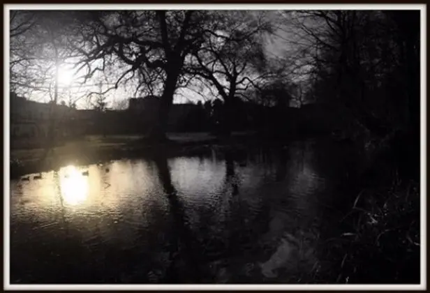 Villa, Birden Çok Yatak