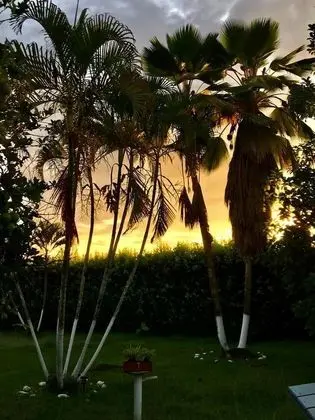 Villa, Birden Çok Yatak