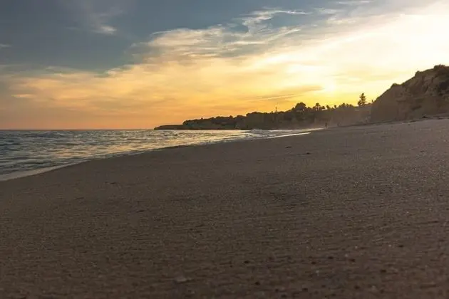 Apart Daire, Birden Çok Yatak