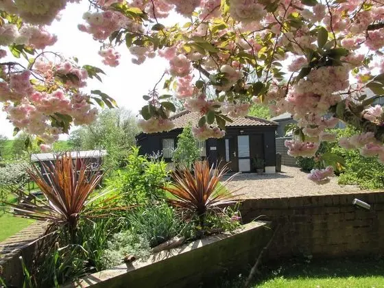 Ev, Birden Çok Yatak