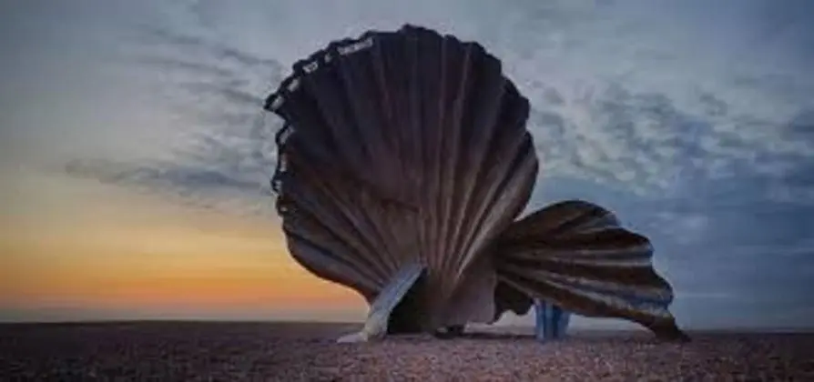 Ev, Birden Çok Yatak