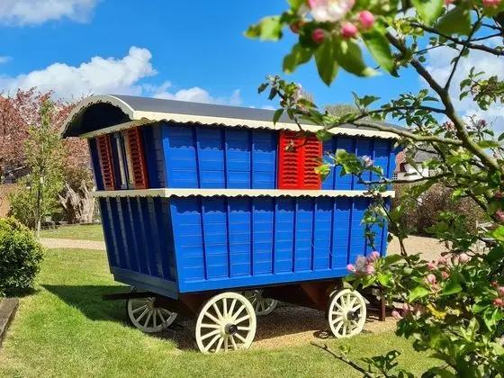 Ev, Birden Çok Yatak