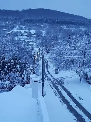 Villa, Birden Çok Yatak