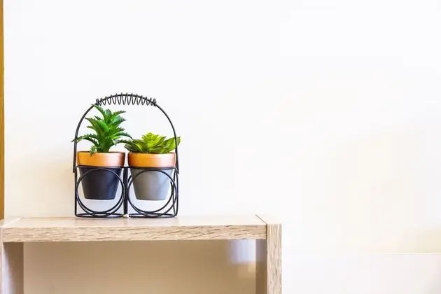 Basic Tek Büyük Yataklı Oda