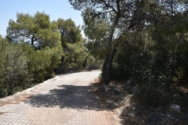 Ev, 2 Yatak Odası, Şömine