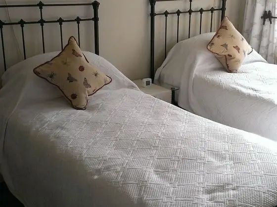 Comfort Tek Büyük veya İki Ayrı Yataklı Oda, Banyolu/Duşlu, Bahçe Manzaralı