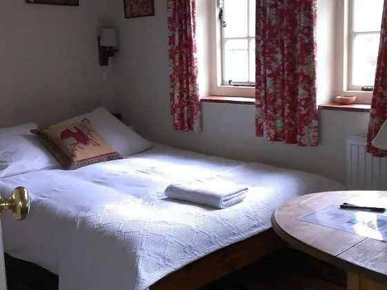 Comfort Tek Büyük Yataklı Oda, Banyolu/Duşlu, Bahçe Manzaralı