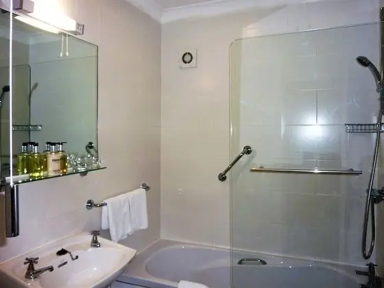 Superior Tek Büyük Yataklı Oda, Banyolu/Duşlu (Room 3)