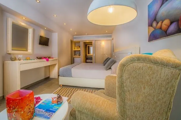 Deluxe Tek Büyük veya İki Ayrı Yataklı Oda, Bahçe Manzaralı