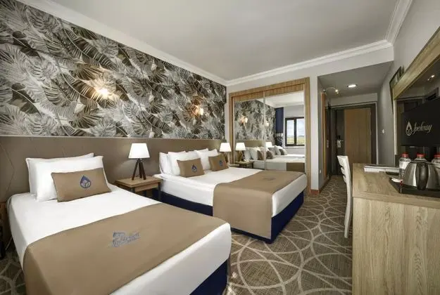 Standart Oda, Bahçe Manzaralı, Balkonlu