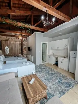 Standard Villa