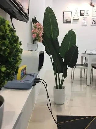 City Ev, 3 Yatak Odası (8 Pax)