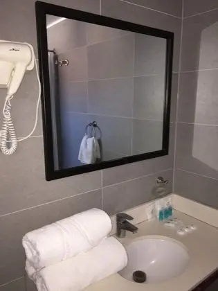 Tek Büyük Yataklı Oda, 1 Çift Kişilik Yatak, Özel Banyo