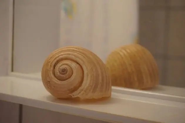 Dört Kişilik Oda, Kısmi Deniz Manzaralı