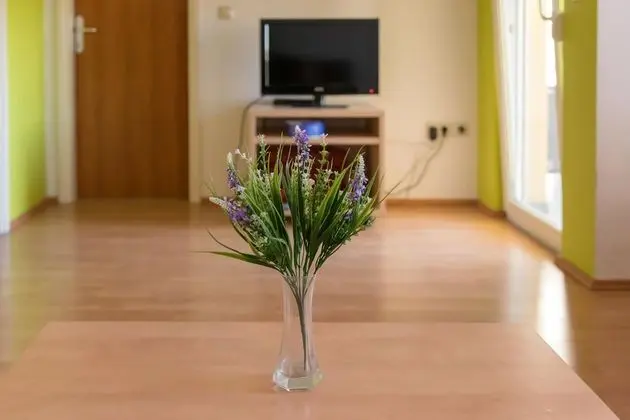 Apart Daire, 1 Yatak Odası, Balkon