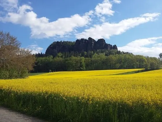 Classic Tek Büyük Yataklı Oda, 1 Büyük (Queen) Boy Yatak
