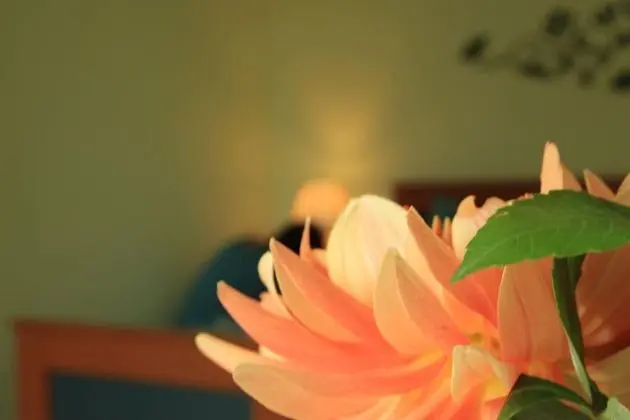 Family Oda, 1 Büyük (Queen) Boy Yatak ve Çekyat, Dağ Manzaralı