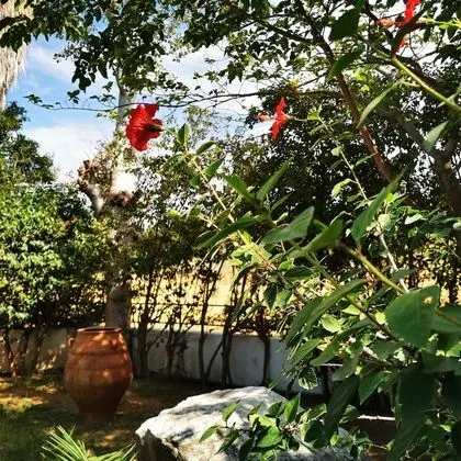 Villa, 4 Yatak Odası