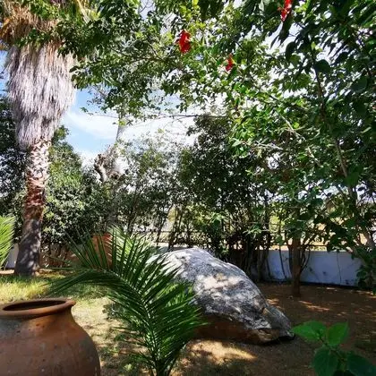 Villa, 4 Yatak Odası
