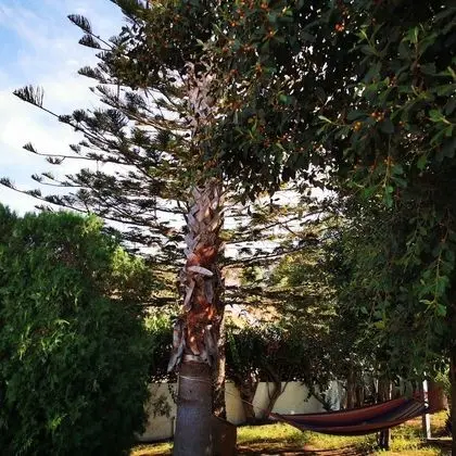 Villa, 4 Yatak Odası