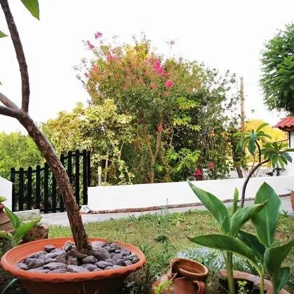 Villa, 4 Yatak Odası