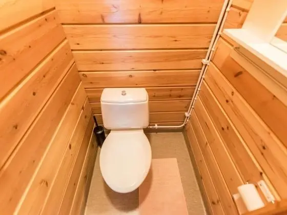 Ev