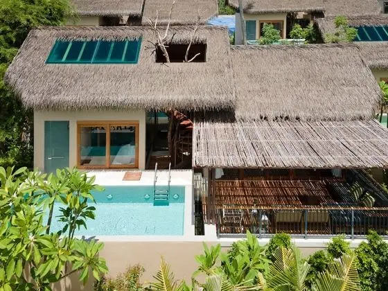 Tree Pool Villa