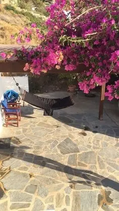 Villa, 5 Yatak Odası, Şömine