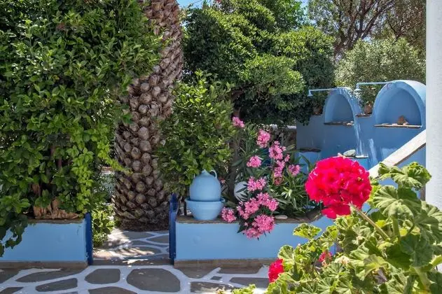 Tek Büyük Yataklı Oda, 1 Yatak Odası, Balkon/Veranda, Bahçe Manzaralı