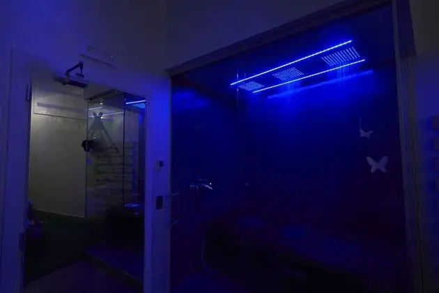 Deluxe Tek Büyük Yataklı Oda (iWild)