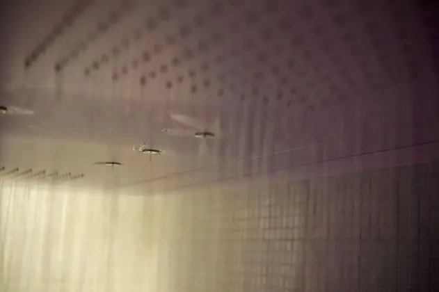 Deluxe Tek Büyük Yataklı Oda (iWild)