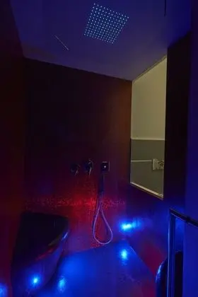 Superior Tek Büyük Yataklı Oda (iCube)