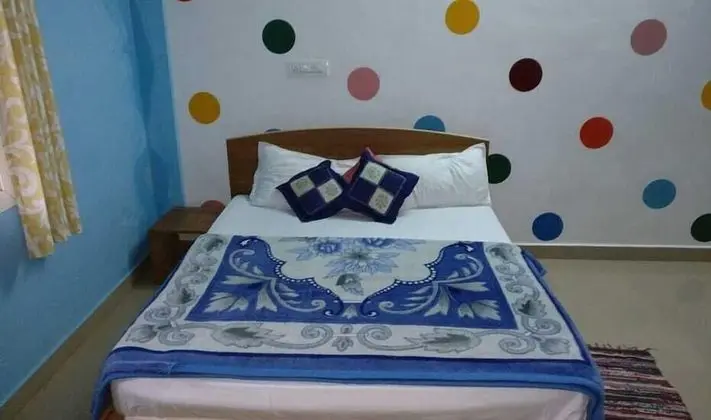 Deluxe Tek Büyük Yataklı Oda (AC)